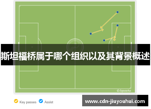 斯坦福桥属于哪个组织以及其背景概述