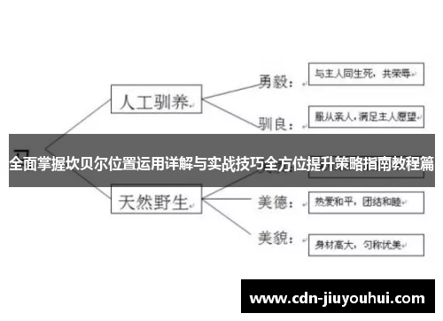 全面掌握坎贝尔位置运用详解与实战技巧全方位提升策略指南教程篇