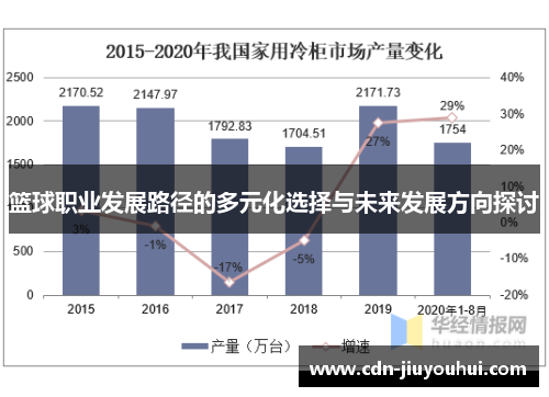 篮球职业发展路径的多元化选择与未来发展方向探讨